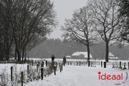 Winterwandeling Wildenborch (04-01-2026)