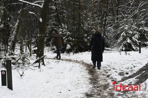 Winterwandeling Wildenborch (04-01-2026)