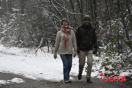 Winterwandeling Wildenborch (04-01-2026)