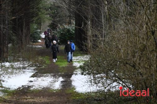 Winterwandeling Wildenborch (04-01-2026)