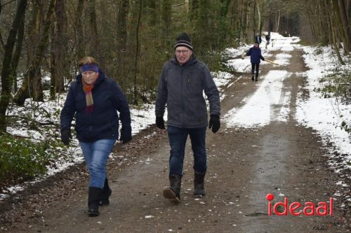 Winterwandeling Wildenborch (04-01-2026)