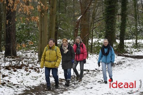 Winterwandeling Wildenborch (04-01-2026)