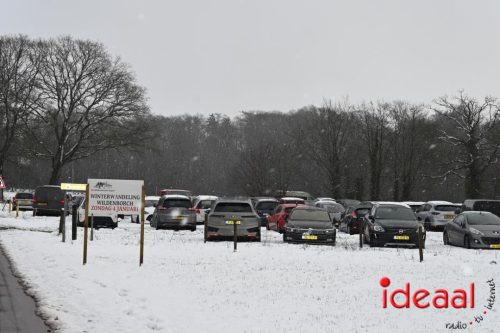 Winterwandeling Wildenborch (04-01-2026)