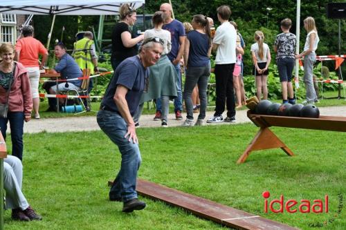 Oranjefeest Wildenborch - deel 1 (22-06-2024)