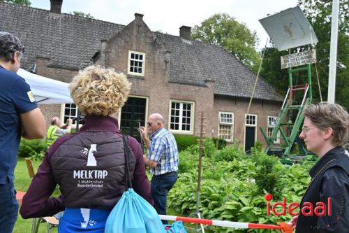 Oranjefeest Wildenborch - deel 1 (22-06-2024)