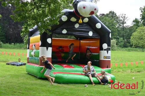 Oranjefeest Wildenborch - deel 2 (22-06-2024)