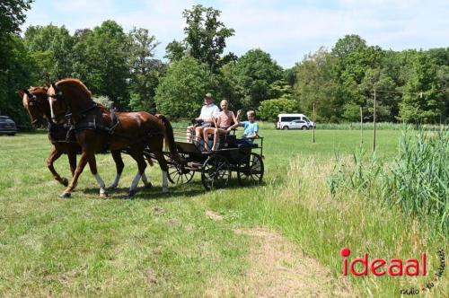 Oranjefeest Wildenborch - deel 1 (24-06-2023)