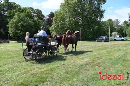 Oranjefeest Wildenborch - deel 1 (24-06-2023)