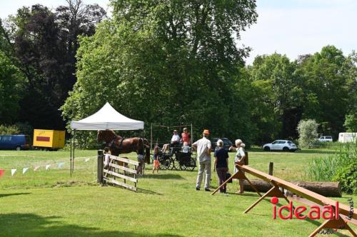 Oranjefeest Wildenborch - deel 1 (24-06-2023)