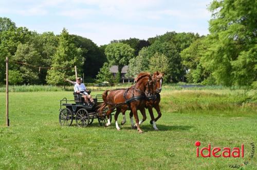 Oranjefeest Wildenborch - deel 2 (24-06-2023)