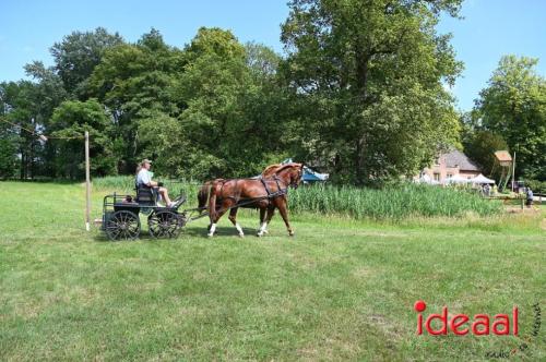 Oranjefeest Wildenborch - deel 2 (24-06-2023)