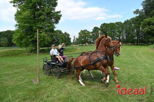 Oranjefeest Wildenborch - deel 2 (24-06-2023)