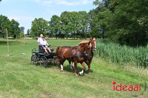 Oranjefeest Wildenborch - deel 2 (24-06-2023)