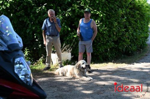 26e HAMAC run in Harfsen - deel 1 (17-06-2023)