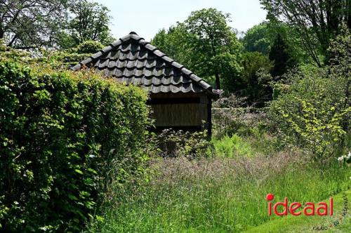 De romantische tuin van De Wildenborch (29-05-2023)