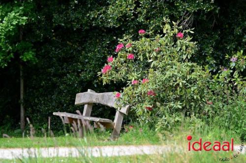 De romantische tuin van De Wildenborch (29-05-2023)