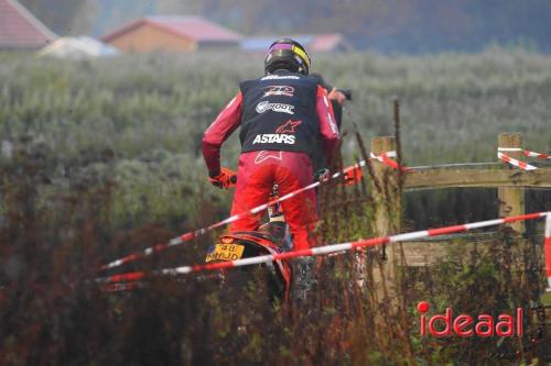 Fotograaf: Albert Schreuder - Wilt u deze foto's in groot formaat bestellen? Neem dan contact op via reportage@radioideaal.nl