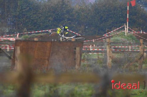 Fotograaf: Albert Schreuder - Wilt u deze foto's in groot formaat bestellen? Neem dan contact op via reportage@radioideaal.nl