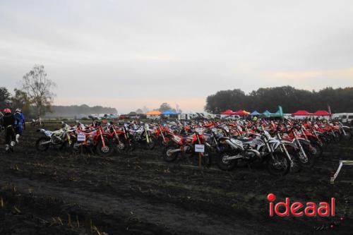 Fotograaf: Albert Schreuder - Wilt u deze foto's in groot formaat bestellen? Neem dan contact op via reportage@radioideaal.nl