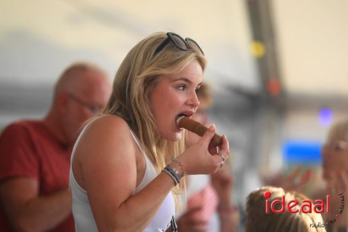 Kermisoptocht Keijenborg 2025 - deel 7 (22-06-2025)