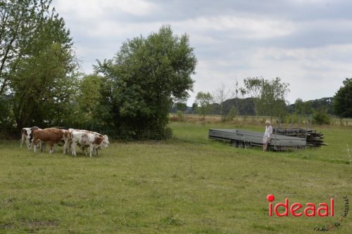 Open dag Boerderij Ruimzicht (28-06-2025)