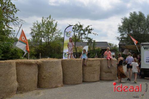Open dag Boerderij Ruimzicht (28-06-2025)