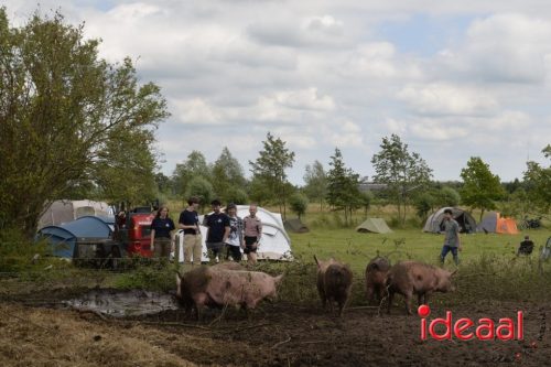 Open dag Boerderij Ruimzicht (28-06-2025)