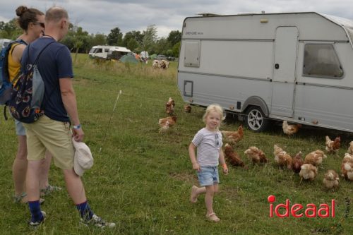 Open dag Boerderij Ruimzicht (28-06-2025)