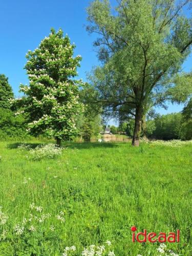 Achterhoekse Wandeldagen - deel 4 (09-05-2024)