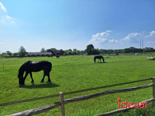 Achterhoekse Wandeldagen - deel 4 (09-05-2024)