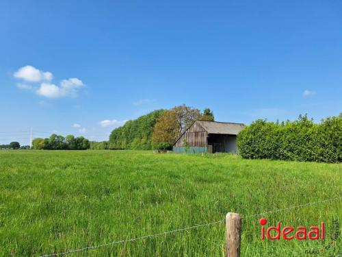 Achterhoekse Wandeldagen - deel 4 (09-05-2024)