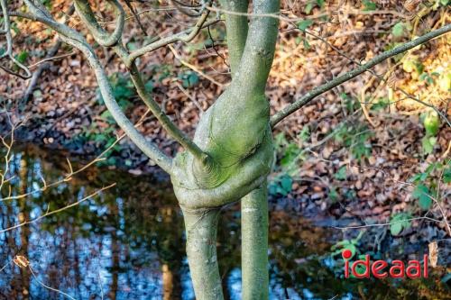 Liefdeslaantje in Vorden (17-12-2023)