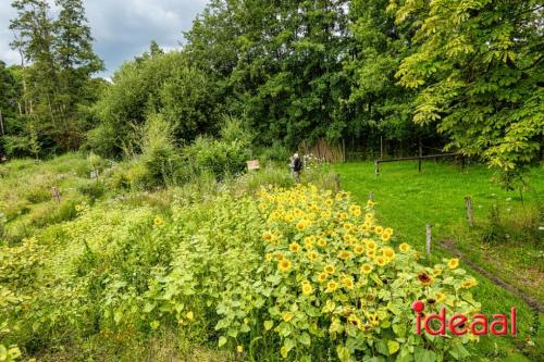 Kunstroute in Warnsveld (29-07-2023)