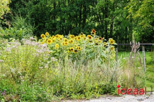 Kunstroute in Warnsveld (29-07-2023)