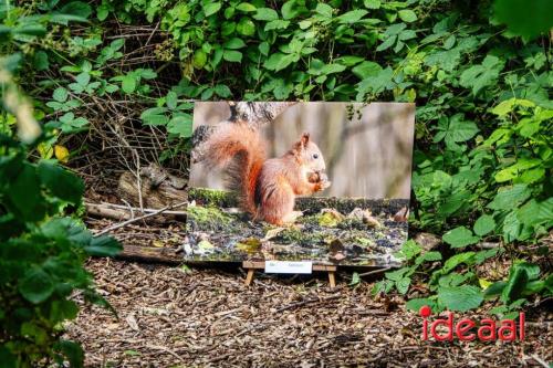 Kunstroute in Warnsveld (29-07-2023)