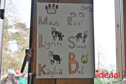 Lammetjesdag De Belhamel in Warnsveld (22-03-2025)