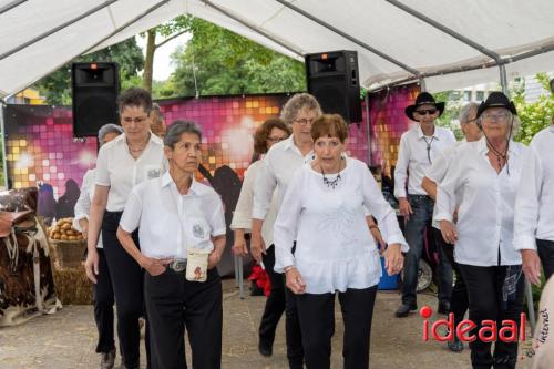 De Uitwijk danst in Zutphen (01-07-2023)