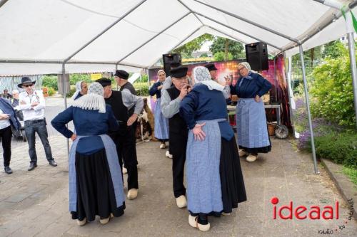 De Uitwijk danst in Zutphen (01-07-2023)