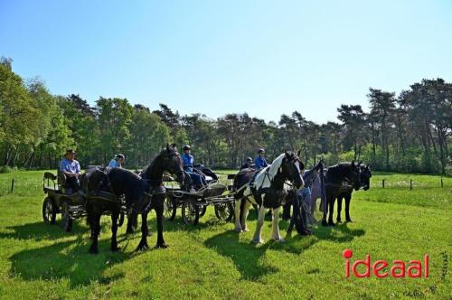 Paarden meerdaagse in Barchem (13-05-2023)