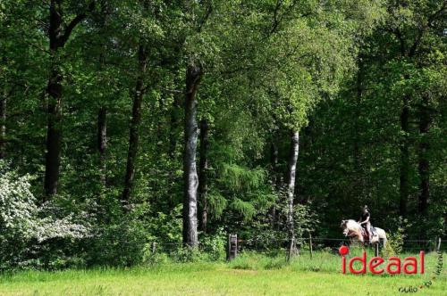Paarden meerdaagse in Barchem (13-05-2023)
