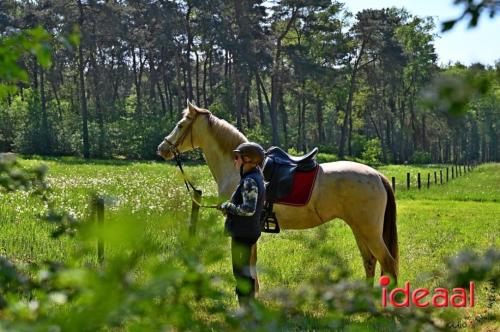 Paarden meerdaagse in Barchem (13-05-2023)